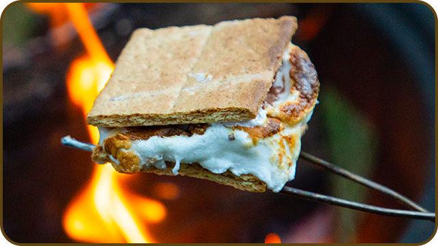 Healthy S’mores