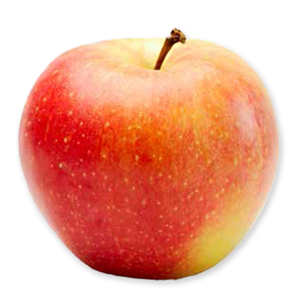 Gala Apple