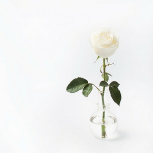 bud vase