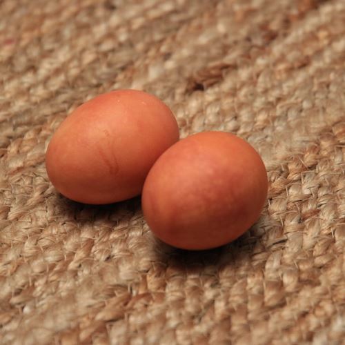 Naturally Dyed Easter Eggs Orange